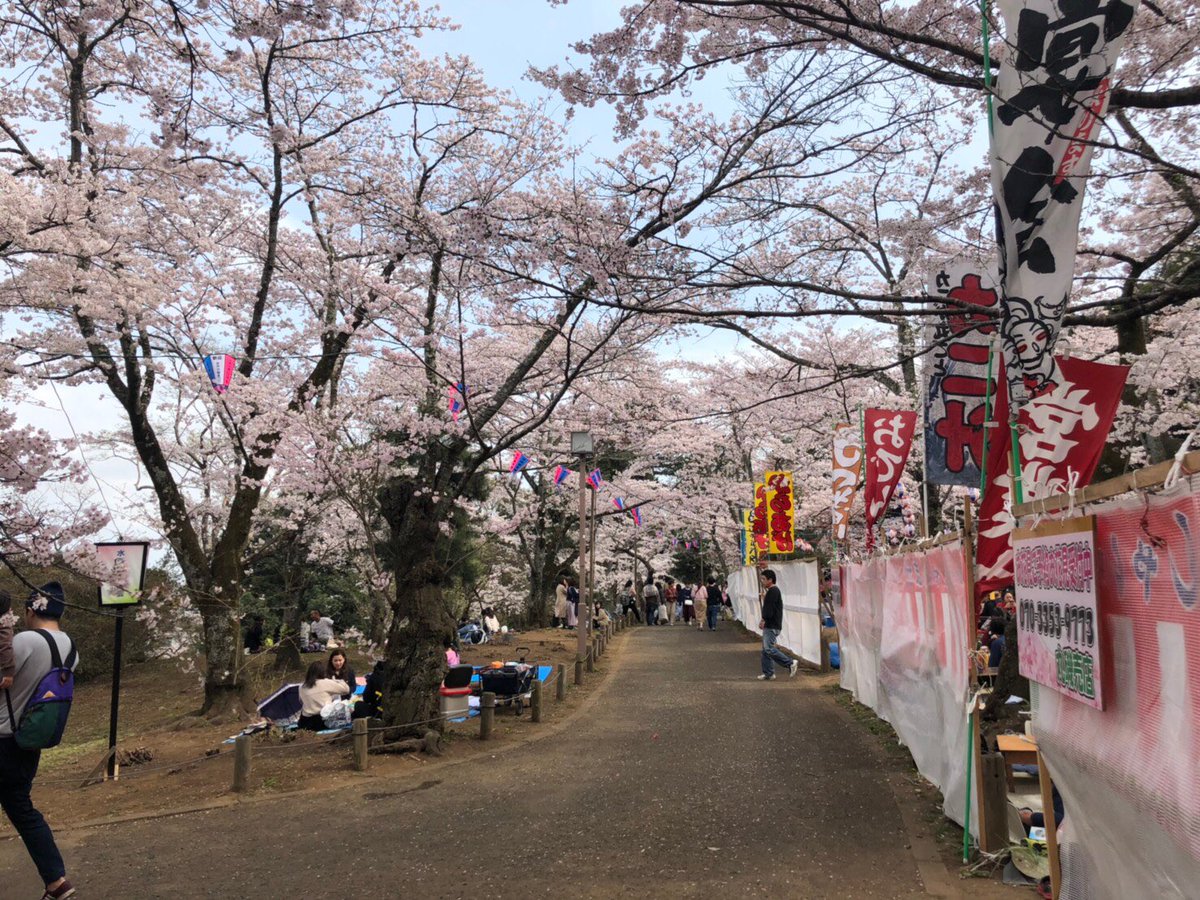 水戸の桜まつり 水戸の桜まつり