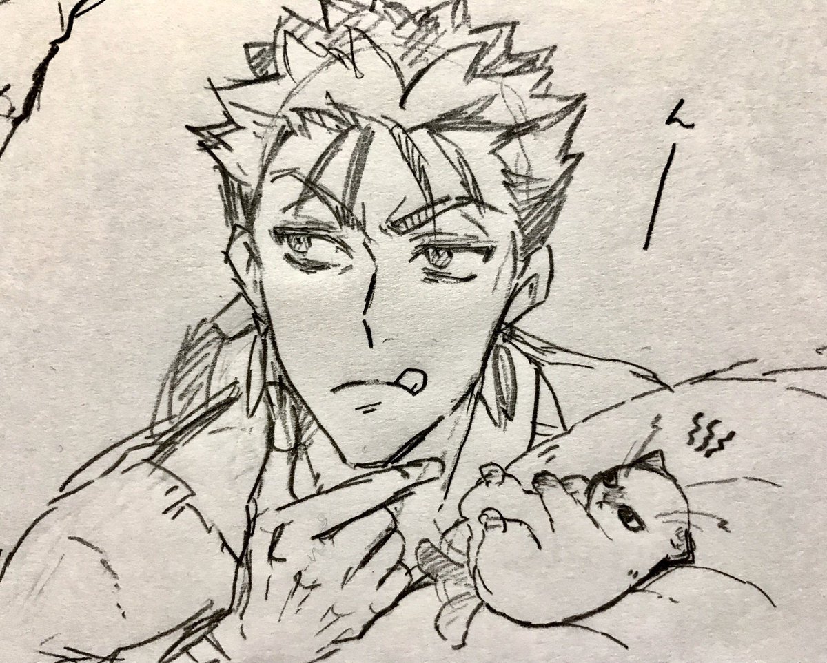 and_shibanui's tweet photo. 愛するって難しい

※飼い主槍、飼い猫弓（子猫） https://t.co/JxHiT0PGyu