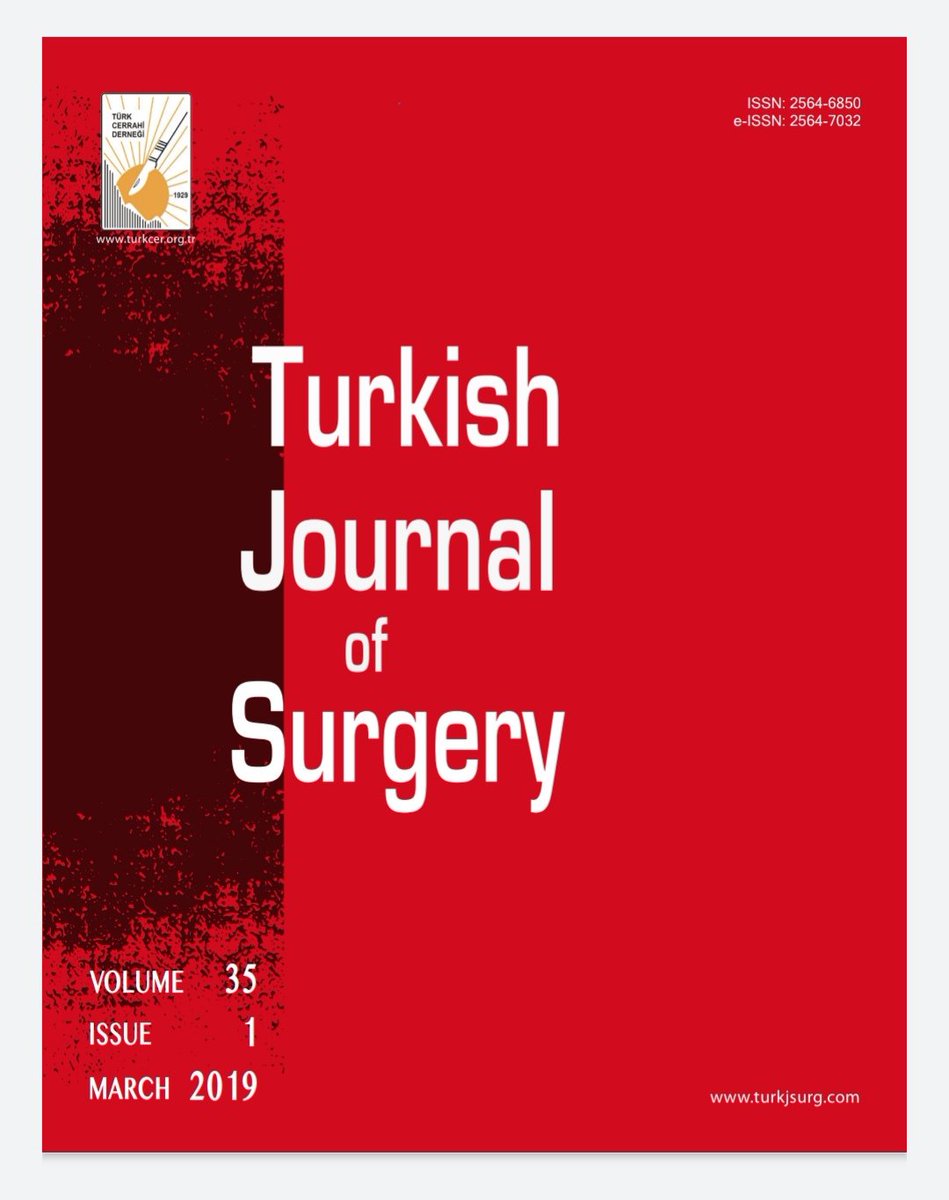 Turkish journal