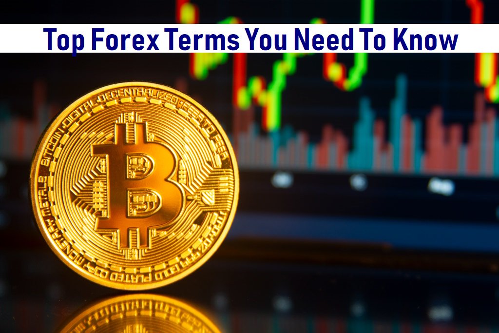 joyfulsources's tweet photo. Top Forex Terms You Need To Know 
Read more... https://t.co/7dnngGFk9H
#forextrading #terms #currencyexchange https://t.co/6l9mDmsrSw