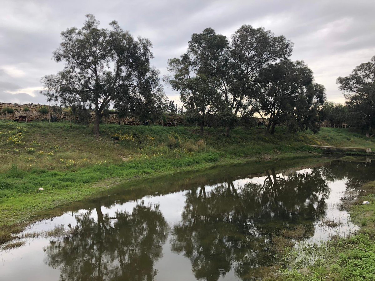 RosianneCutajar's tweet photo. The stunning beauty of Wied is-Sewda on a rainy day ❤️ #Malta #nature #HalQormi #valley https://t.co/YsA9X9cMDV