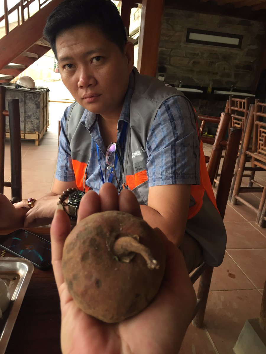 Lê Ngọc Bách tweet media