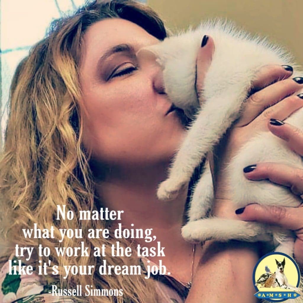 AMSHVets's tweet image. No mater what you are doing, try to work at the task like it's your dream job!
-Russell Simmons

#AMSH #tulsaoklahoma #brokenarrowoklahoma #veterinarymedicine #aww #dream #love #followus