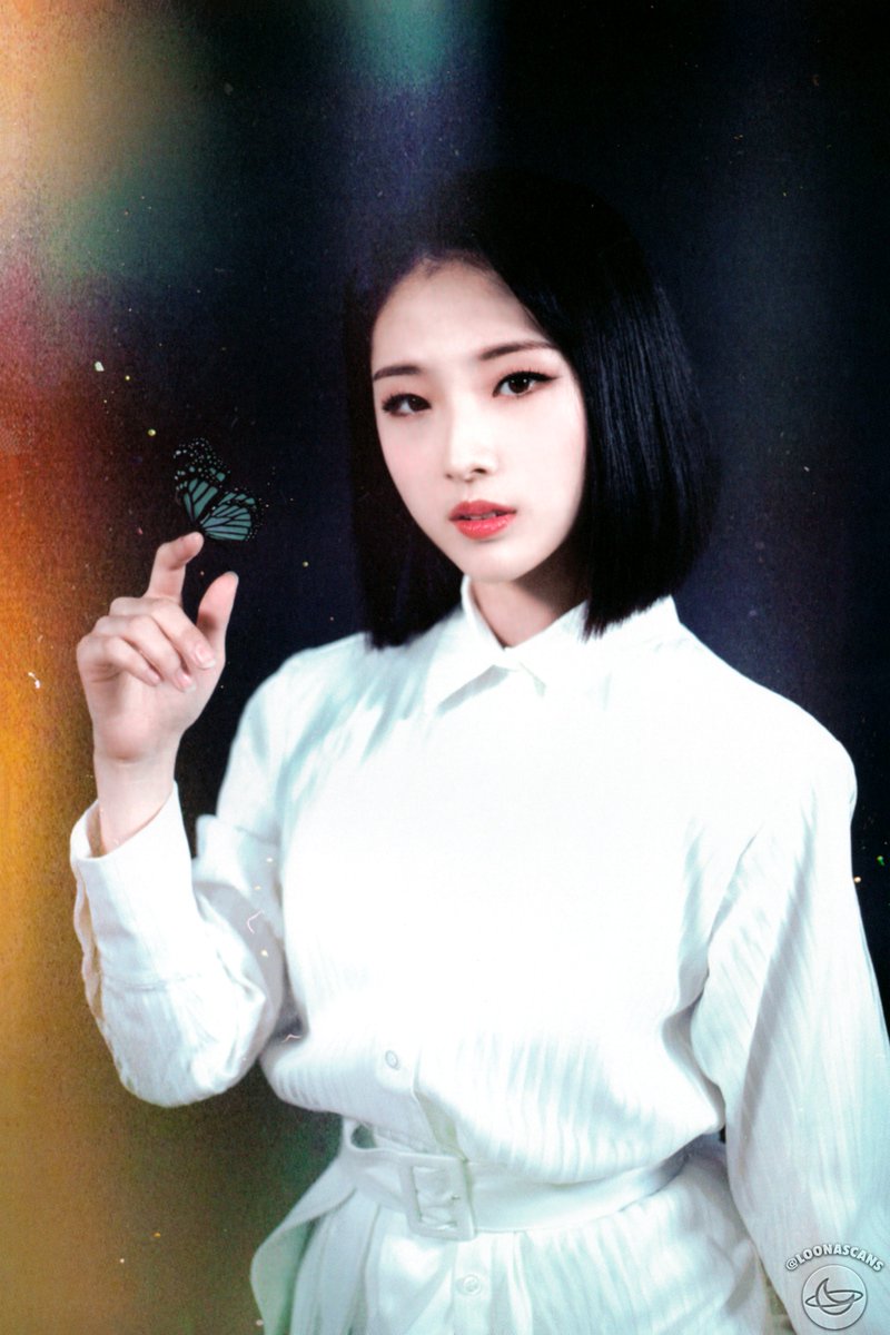 loona scans on X: 