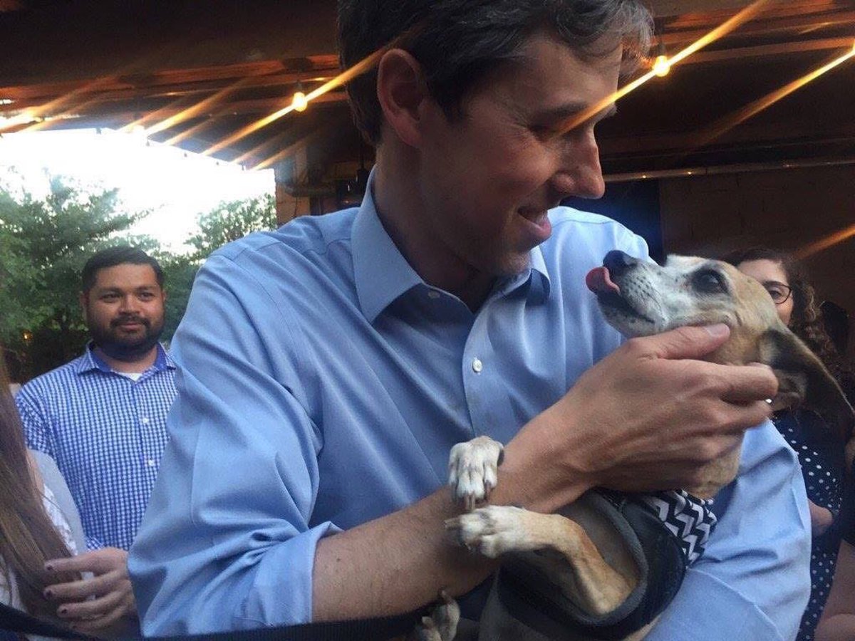 First_Dog_USA's tweet photo. @BetoORourke 🐾 Yes! And now, a message from me: please do NOT bring your puppers, my dad will pet and hug them all, he can’t refrain. Thank you. #IACaucus #BetoForPresident #ArtemisForFirstDog #DOTUS https://t.co/NjSyIPeiDz