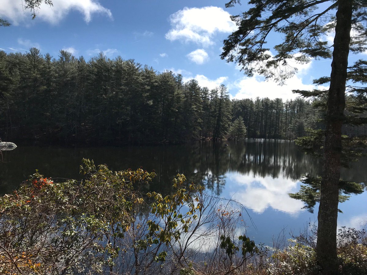 artsylliu's tweet image. &quot;Even if you&apos;re a pantser, you can be a retroactive plotter.&quot; @stephpittsbooks at the SCBWI Whispering Pines Writing Retreat #writetip #revisiontip
