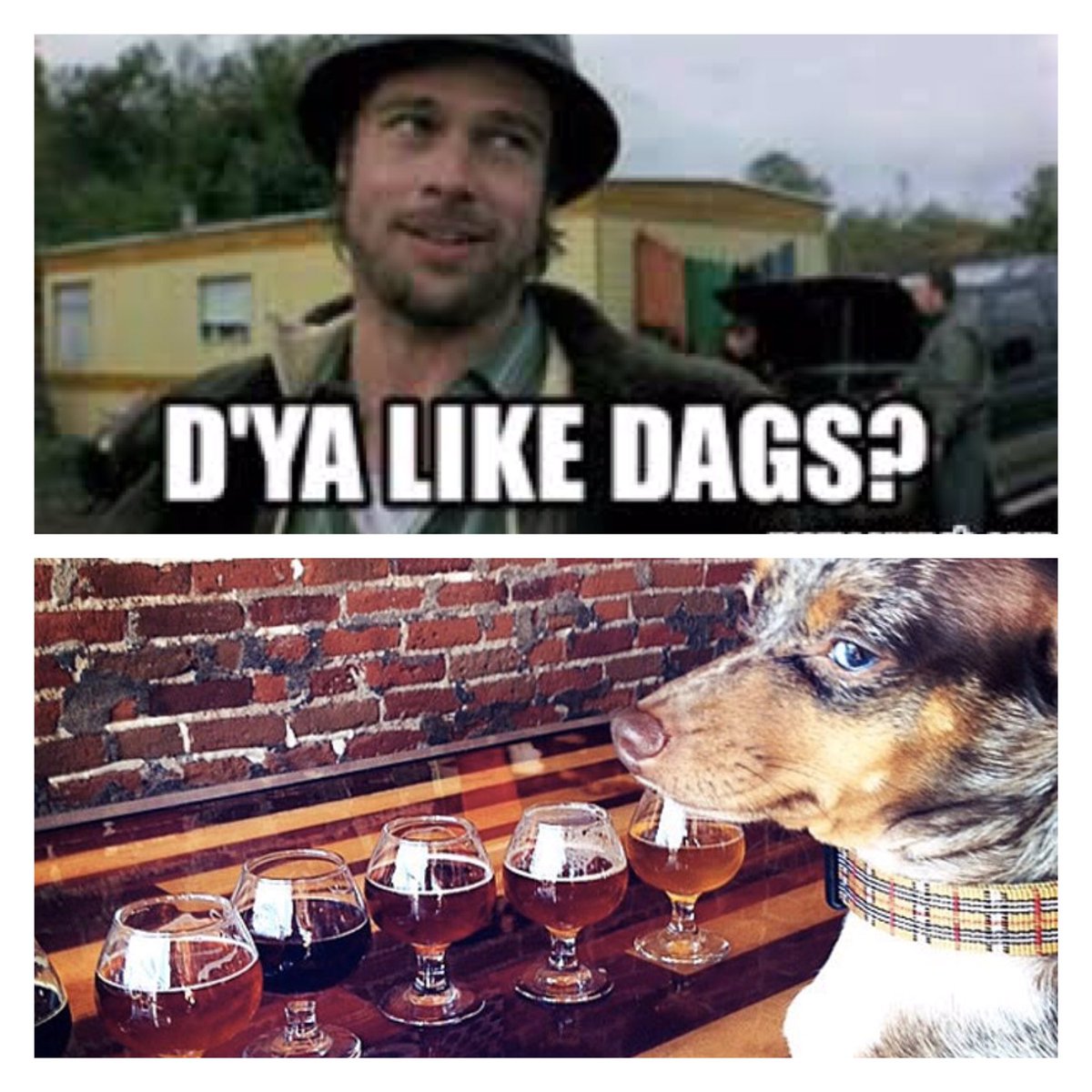 MacMaddies tweet media