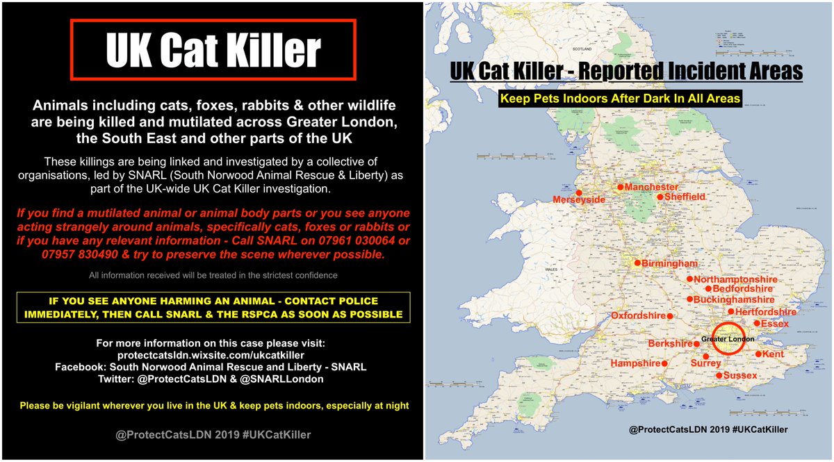 Protect Cats UK tweet media