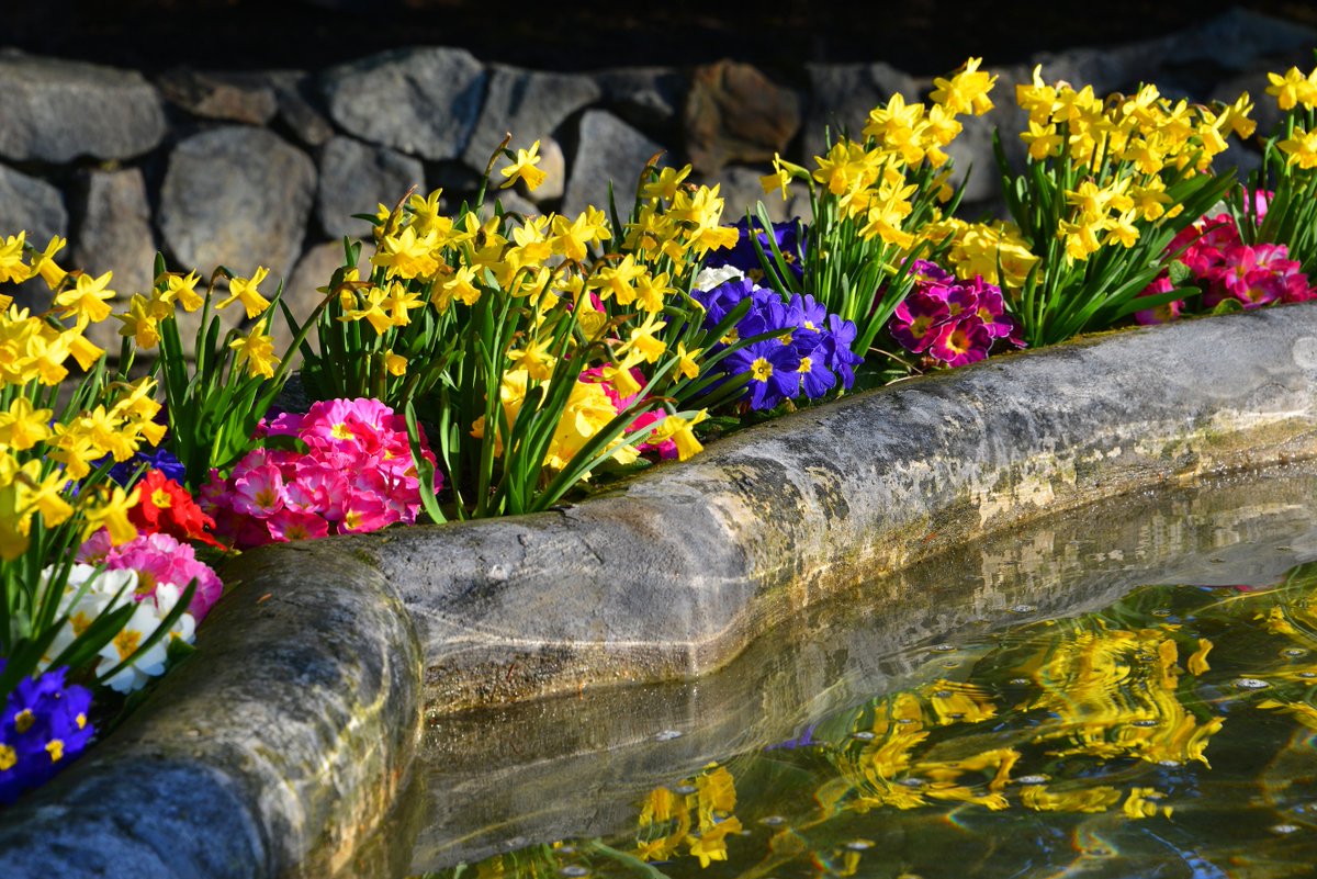 CVS Tours tweet media