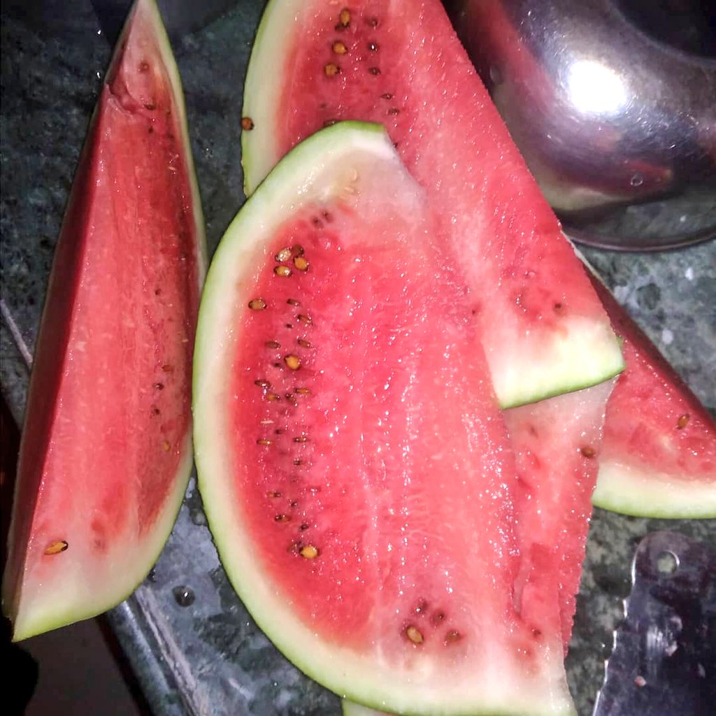 JpChaturbhuja's tweet photo. #ତରଭୁଜ.....🍉🍉
କାଟିଛି କିଏ ଖାଇବ କୁହନ୍ତୁ !!✌✌
#FreshFood #waterP...🍉🍉🍉
#ଖରାରୁ_ରକ୍ଷାମିଳିବ #ସଜତରଭୁଜ 🍉 https://t.co/HPexL15Uz7