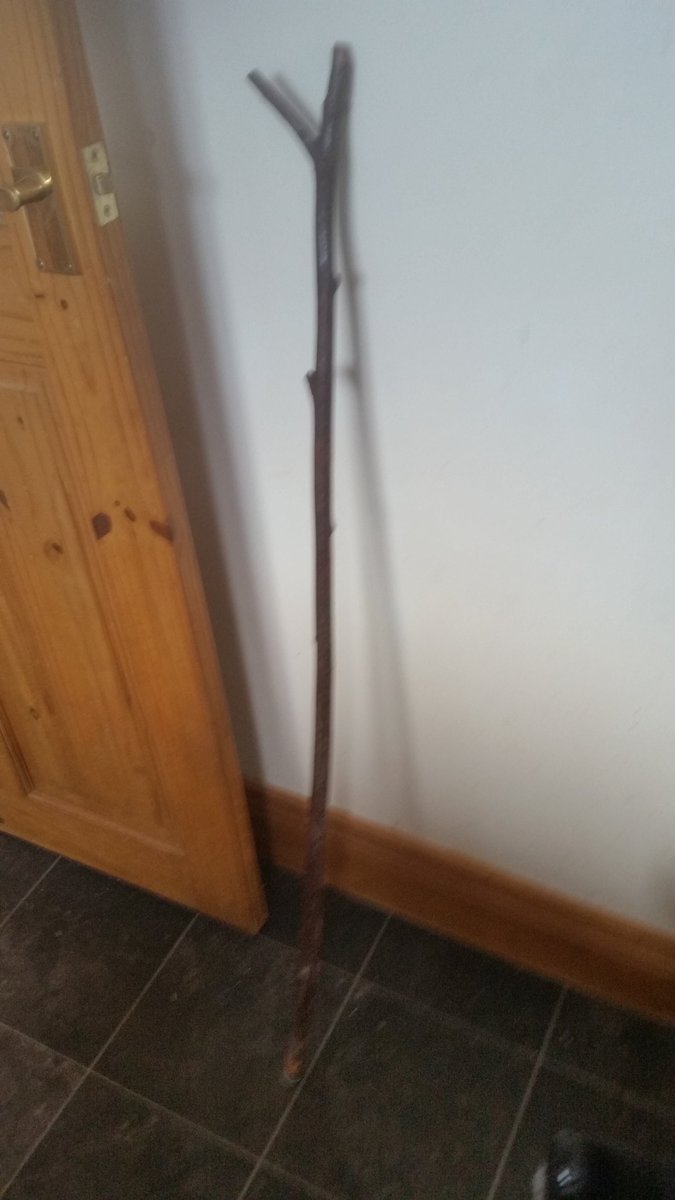 RichGargett's tweet photo. This is what my 12yr old has made ready for next season. #conutryskills #schoolholidays Hazel stick & #cartridgecase. Proud of him. https://t.co/RGZJ04KWcI