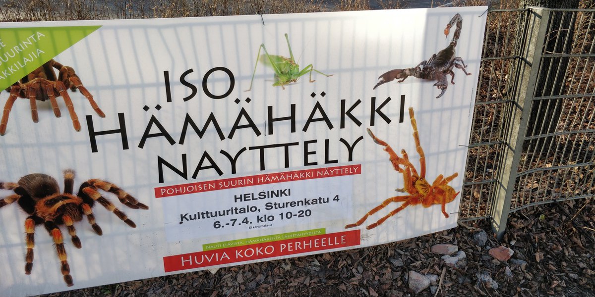 nynnypehmo's tweet photo. SV: entomofobia, arachnofobia https://t.co/V8MiA1ojNi