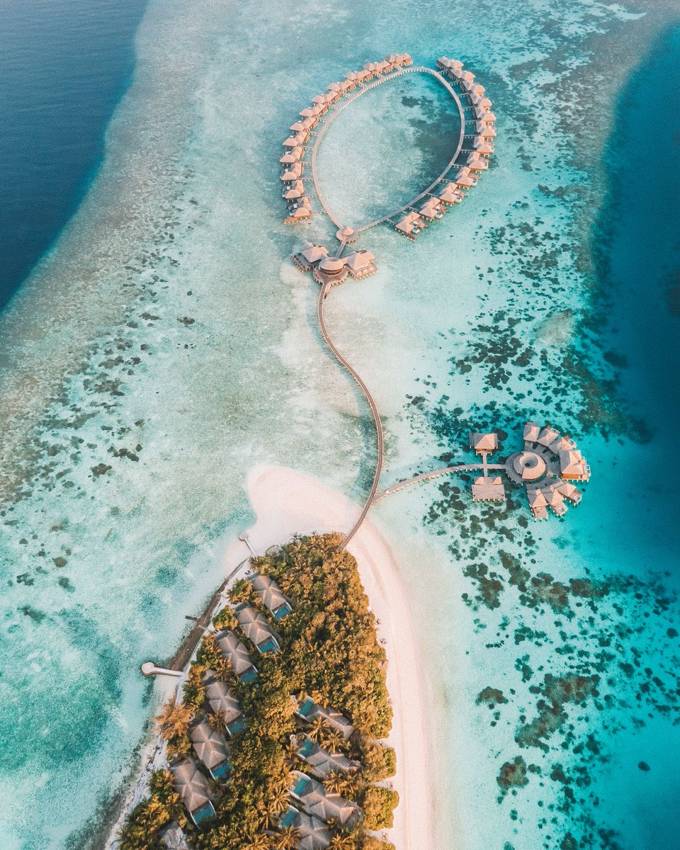 CocoCollection's tweet photo. The perfect escape
#cocomoments #cococollection #maldives #cocoresidence #watervilla #islandparadise #vacationgoals #instatravel #visitmaldives #theprefferedlife https://t.co/WWgQZhEhxE