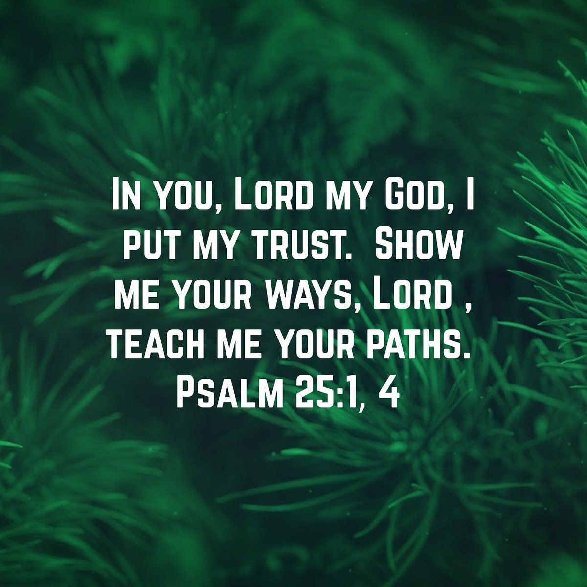 BroadwayCMA's tweet photo. We continue to look to the Lord as we move forward without Pastor Al in our lives and leading our congregation. #NewChapter #SeeYouInHeaven https://t.co/rcxxZ2I09i