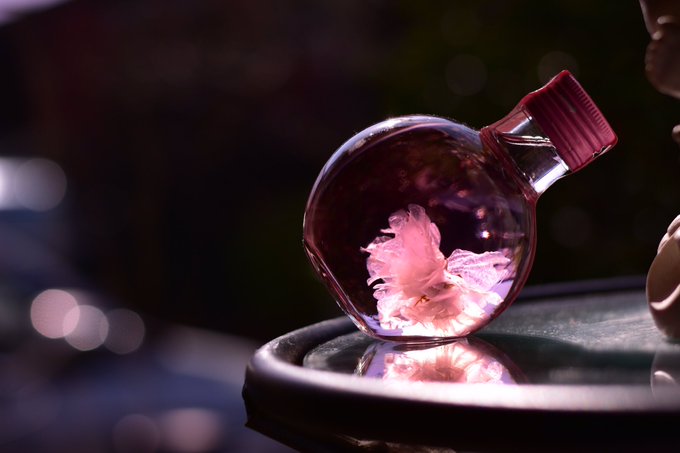 さくらさらさらのtwitterイラスト検索結果