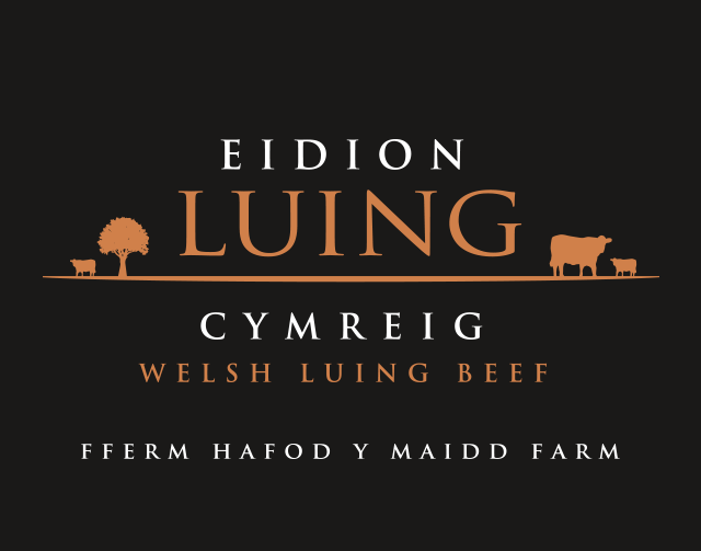 Gwledd Conwy Feast tweet media