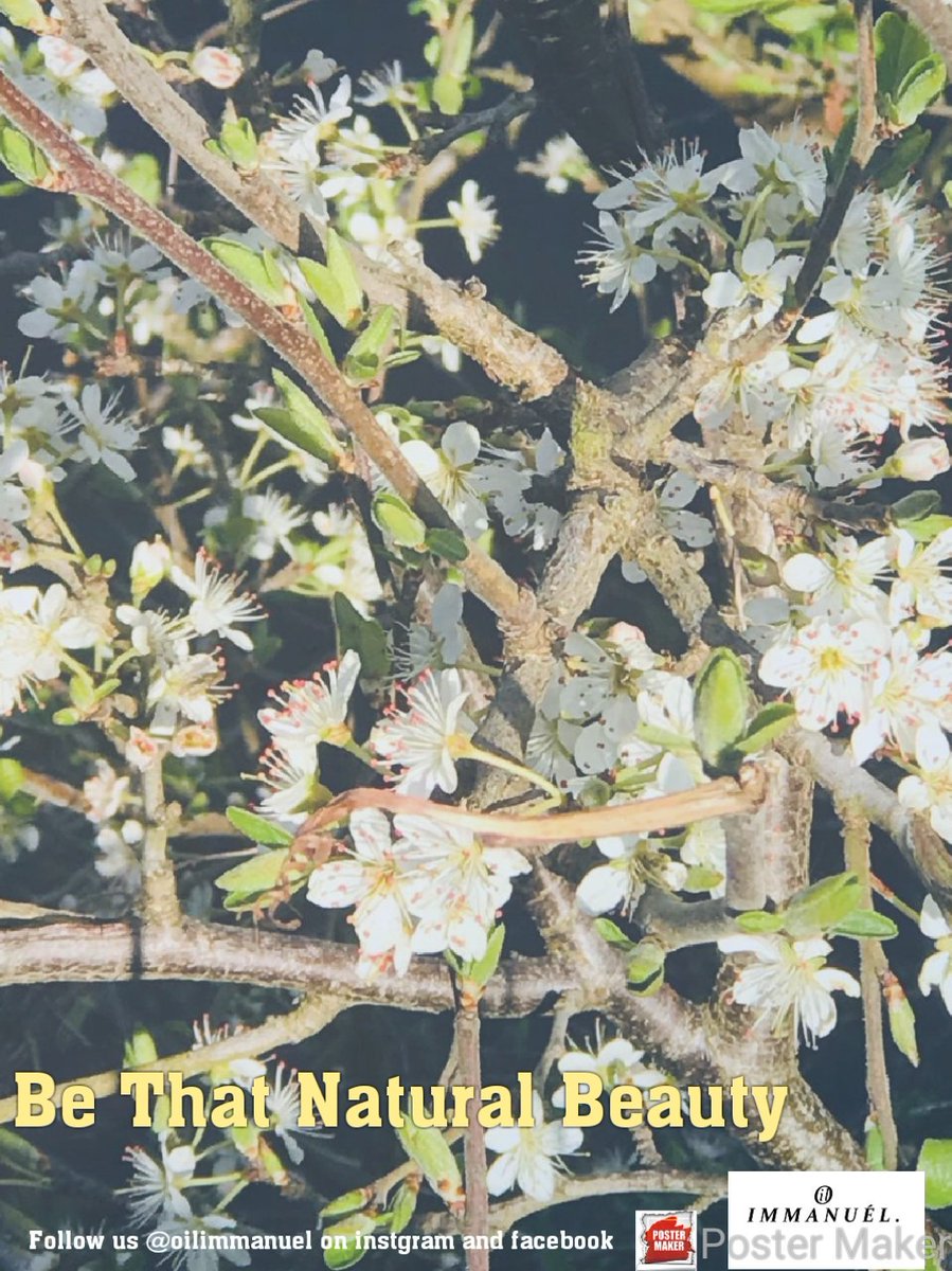 oilimmanuel's tweet photo. We hope you all have a #GOOD #weekend on this #dull day.  This #picture will lift up your #mood #Today. #photography #flowers #SundayMorning #weekendvibes #beauty #ukblogger #blogging #love #skincare #skincareroutine #shropshirenews #stafford #naturalbeauty #haircare #onfleek https://t.co/CvAV5g3aPz