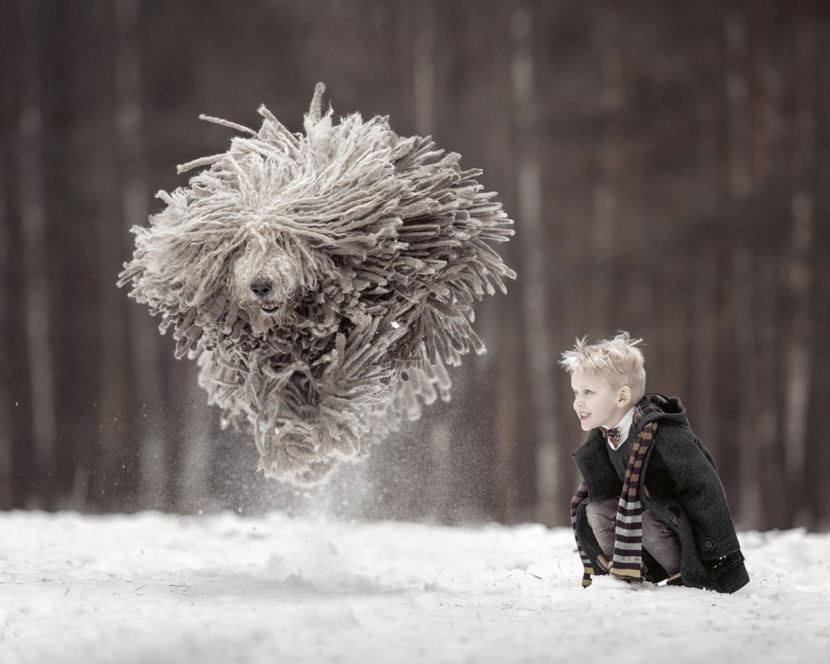 Frisch gebloggt: (Rezension) Wie mir das Fotobuch "Liebe kennt keine Größe" gefallen hat, steht ab sofort auf meinem Blog #Rezension #Hunde hunde-reisen-mehr.com/fuer-euch-gele… <a href="/bastei_luebbe/">Bastei Lübbe</a> Copyright Foto: Andy Seliverstoff