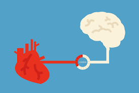 biomedval's tweet photo. Reachers identified a ❤️heart-brain🧠 connection in Takotsubo, or 'broken heart' syndrome💔! Impaired communication between LIMBIC SYSTEM + AUTONOMIC nervous system has been found in patients with TSS #biom4180 #❤️ https://t.co/NJeq9IuQnY https://t.co/YJr2Xx98s8