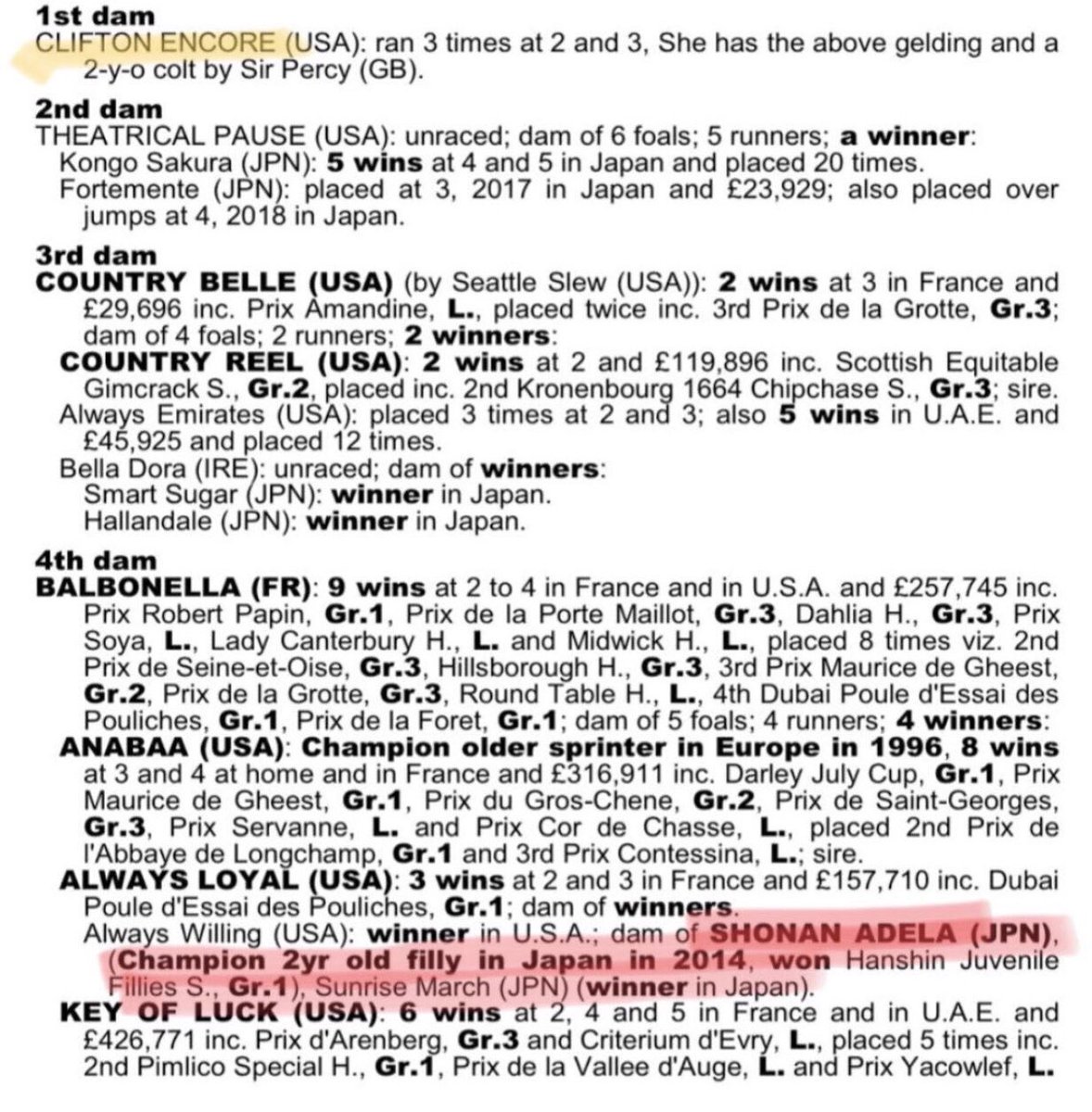 Readswoodstud's tweet image. @agentbloodstock @Readswoodstud has homebred 3yr old @SirPercy_sire gelding, FOR SALE He’s a wonderful prospect, Family of #Anabaa #KeyOfLuck (Dam sire of #Altior) &amp;amp; #CountryReel(Dam sire of #Frodon) Cheshire, SK10 4AX, small detour on your way home from Tabley #P2P 07812 654736
