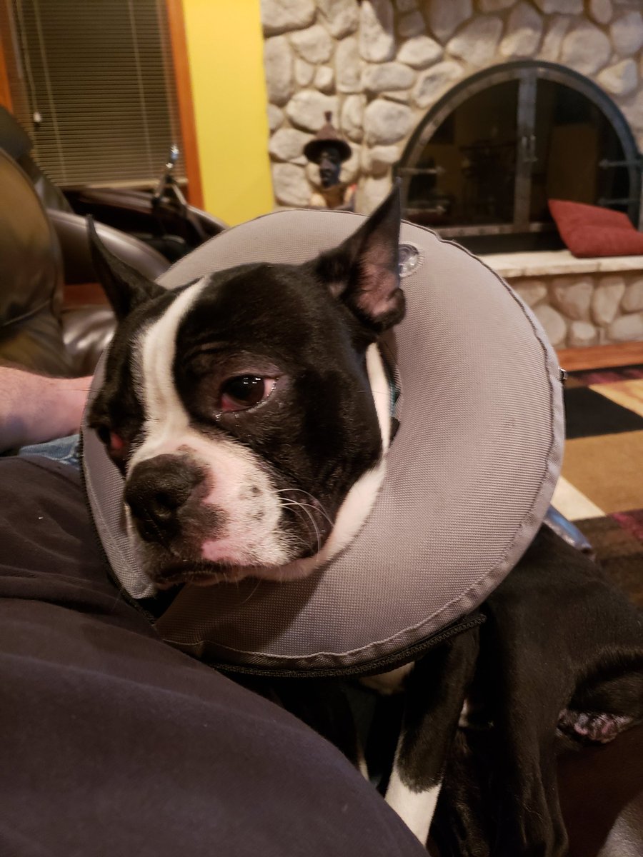 Isn't this just pitiful?  Poor guy!