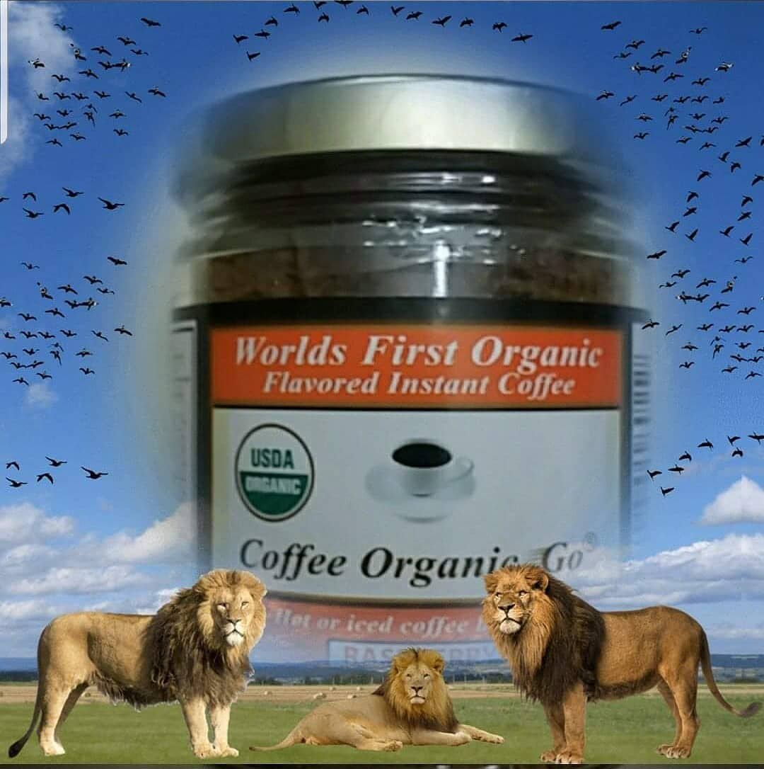 Good morning from coffee organicgo. CoffeeOrganicGo.com
#coffeeorganicgo