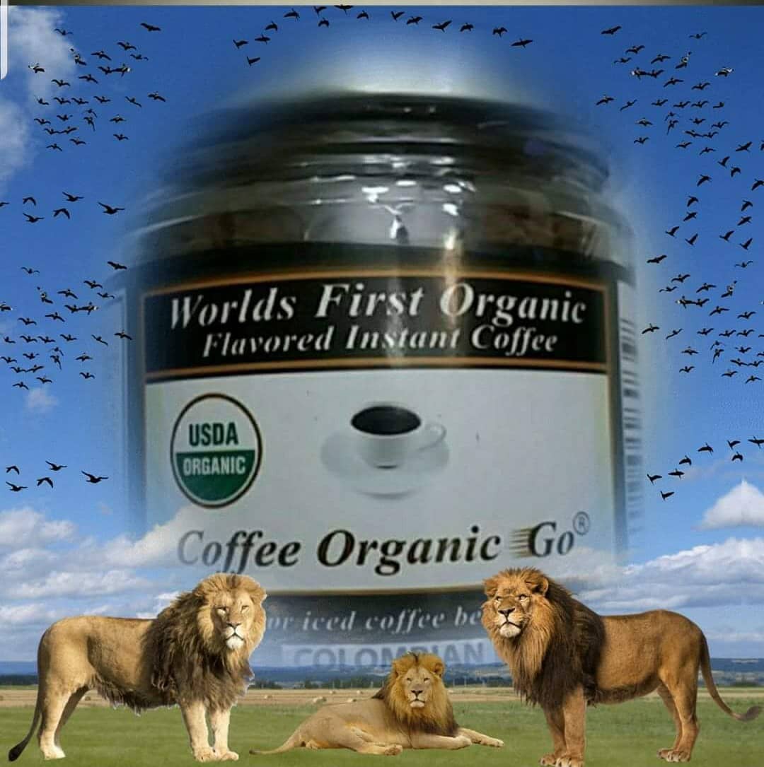 Good morning from coffee organicgo coffeeOrganicGo.com
#coffeeorganicgo