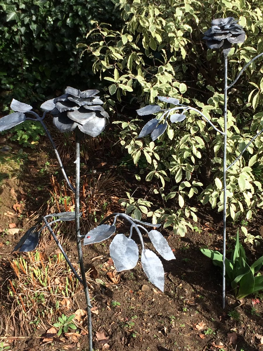 alisoncatchlove's tweet photo. Some of my roses 🌹 for sale at #AppArt #priorsfieldschool #metalwork #sculpture #gardensculpture #metalflower #rosesculpture #art #gardenart #priorsfield #exhibition #godalming #surreyart #petals #rose #flower #leaves https://t.co/YsJOzNFHGL