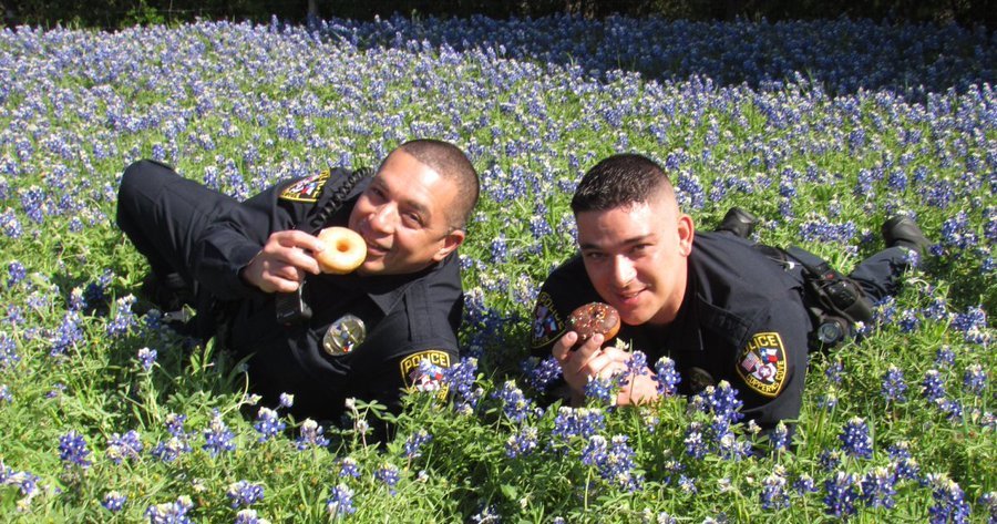 KimWyles11's tweet photo. Officers having fun with the images, also reminded citizens how to safely and legally pose with the flowers and make sure they’re not trespassing on personal property. #FlowerReport rt @ThewardmomCindy
Copperas Cove police officers accept #BackTheBluebonnet challenge 👍🏻💙🚓💙 https://t.co/Kt08JsIZVb