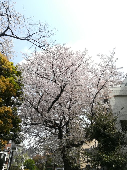 Twitterのコスプレ画像49