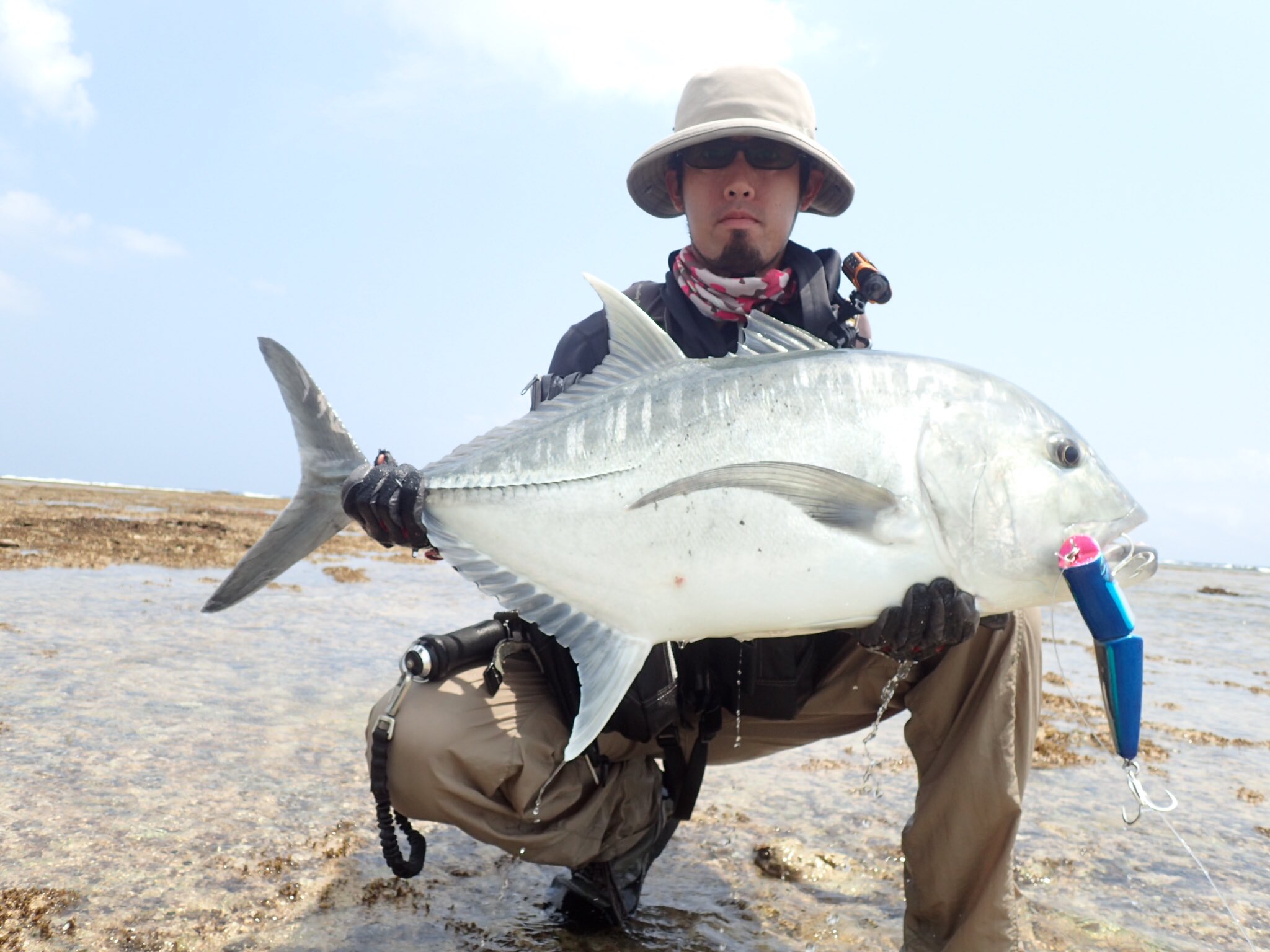 ヒロ やっぱり開幕 19ステラswの初魚種がリーフgtなんて最高だな 昨日のミスから学び取れた一匹 ありがとうgt ルアー Atoll カウダ190 Atoll カウダ190 ショアgt 沖縄ルアー 石垣島 19ステラsw Shimano Gtfishing T Co