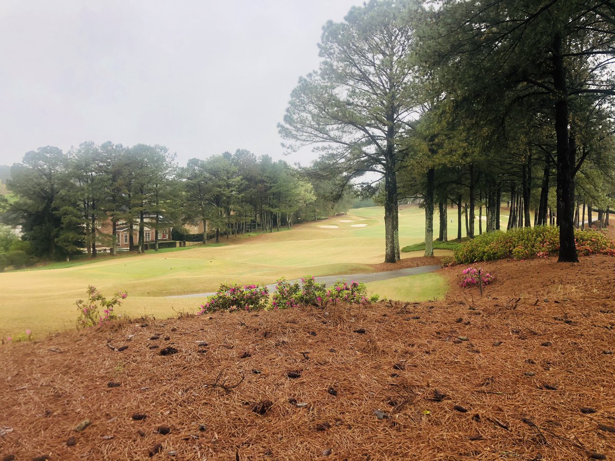 All 3 of our rain gauges measured between .60”-.50” this morning . Double cut, roll, changing cups on the greens. The azaleas 🌺 are starting to pop just in time for Masters week! #springseason