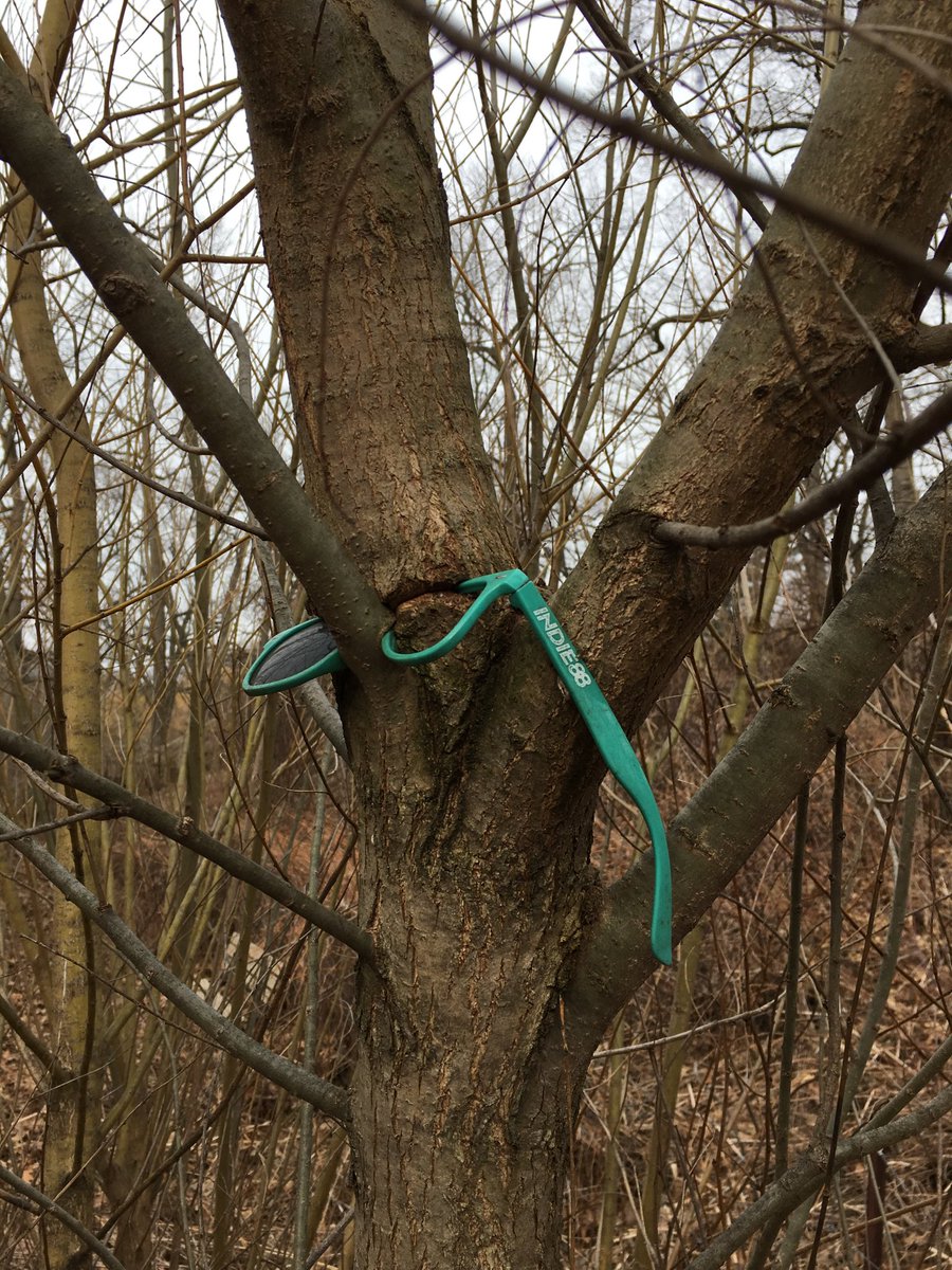 dprpatterson's tweet image. ⁦@Indie88Toronto⁩ you’ve really become a part of this city (found in high park)