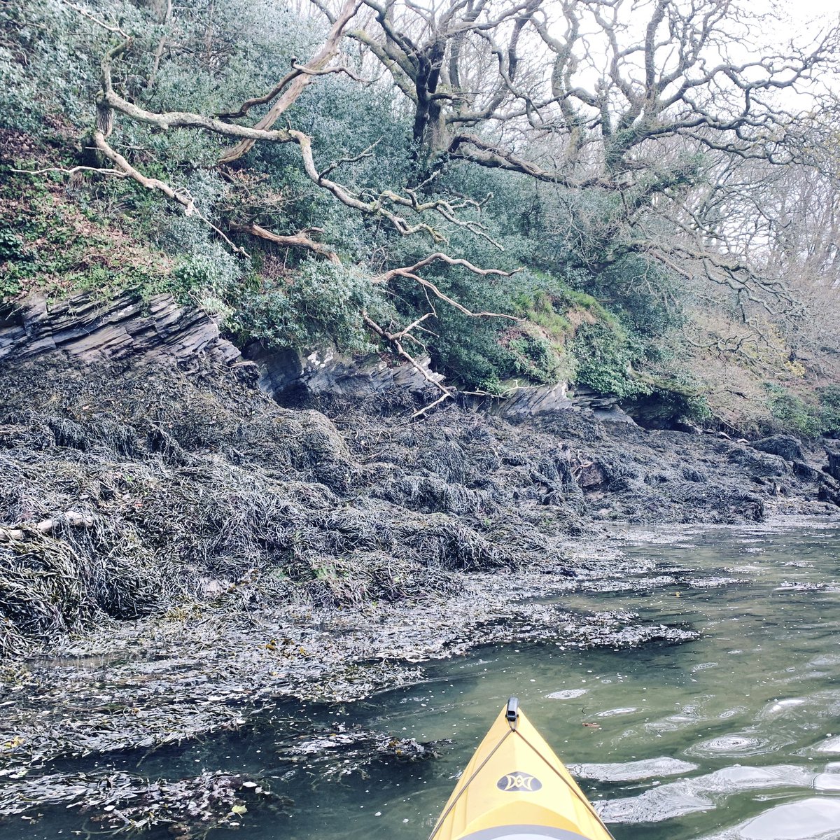 Humanist mini-sermon: There’s no need to imagine a supernatural shadow world of gods, angels and fairies; there’s enough beauty, majesty and mystery in this natural world