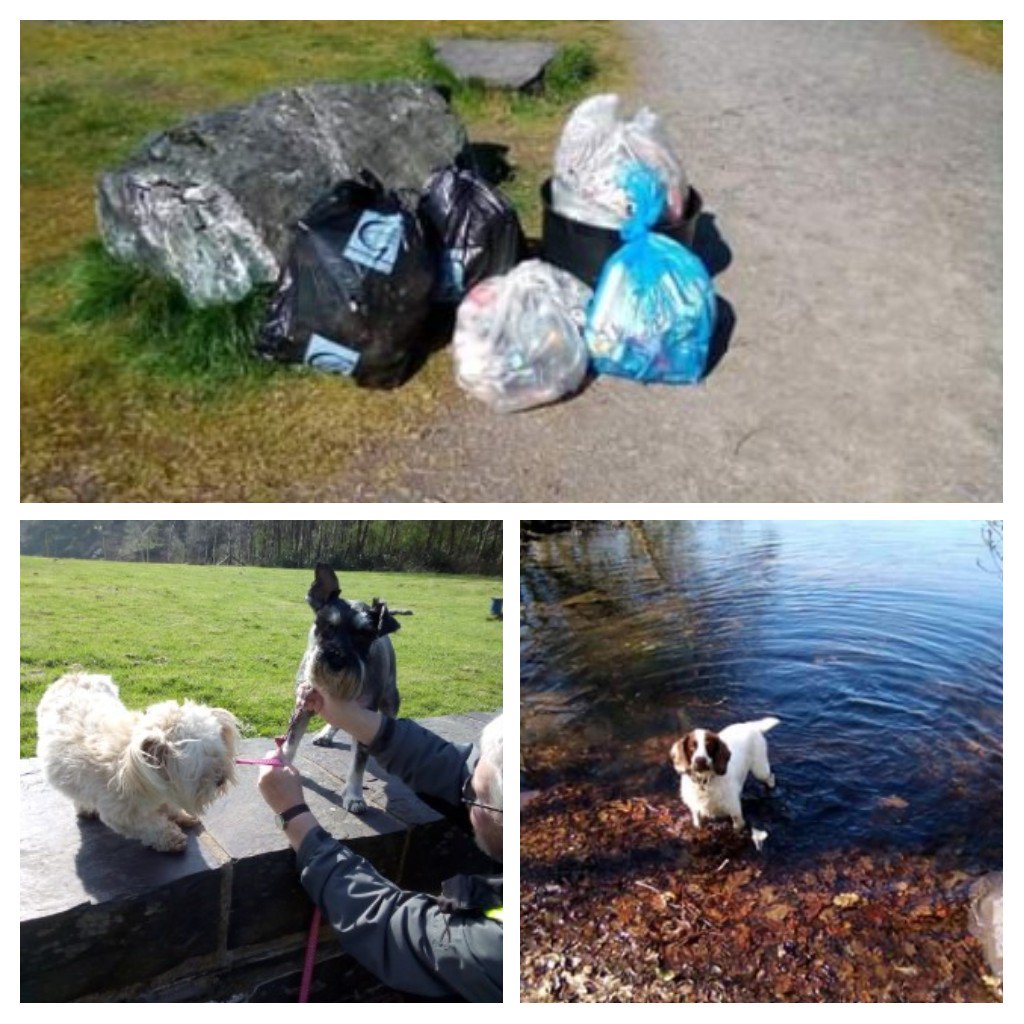 PawsOutandAbout's tweet photo. Today's #SpringCleanCymru
with @LlanberisTaclus litterpicking group around Padarn Lake. Met George the swimming Spaniel and Morus the miniature Schnauzer. 
Very impressed with Morus' mustache♥️🐾
✔️4 bags litter
✔️3 bags recycling
✔️Odd socks and hat
✔️Industrial plastic pipe https://t.co/ZkWhmvu6JF