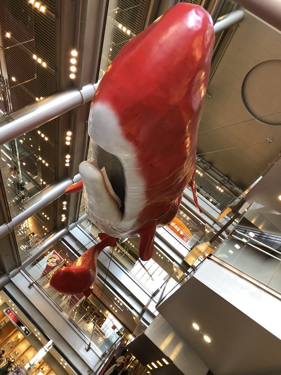 栗田学武 人生で初めてスカウトされた場所 Hep Five ス お兄さんかっこいいですねぇ 何歳ですか 僕 17歳です ス あ うち18歳以下お断りなんですよー 僕 あ え 成人した今 彼はまた僕に声をかけてくれるかな 大阪プライベート 栗田学武 人生で初めてスカウトされた場所 Hep Five ス お兄さんかっこいいですねぇ 何歳ですか 僕 17歳です ス あ うち18歳以下お断りなんですよー 僕 あ え 成人した今 彼はまた僕に声をかけてくれるかな 大阪プライベート