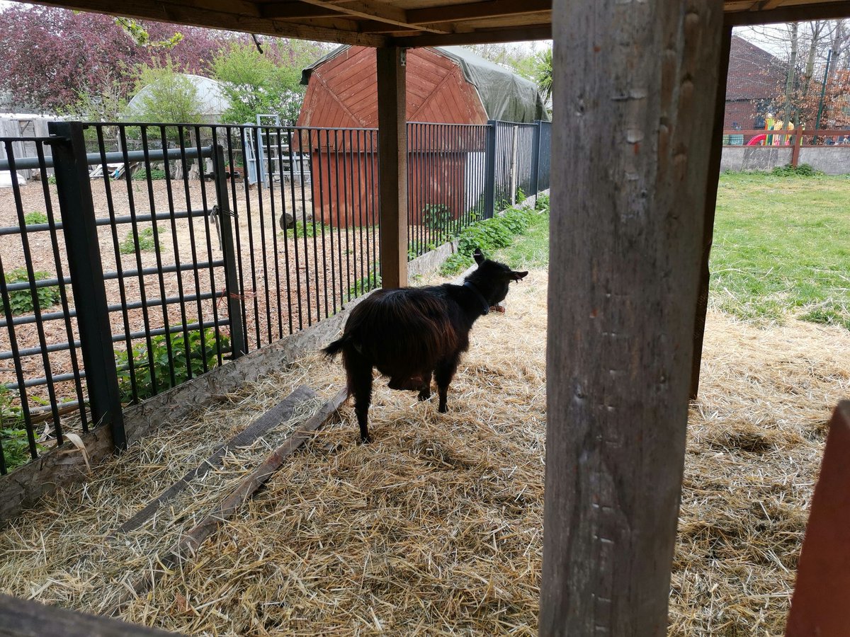 lordmauve's tweet photo. @ntoll @TheGoatRace https://t.co/z5t3AEnJRD