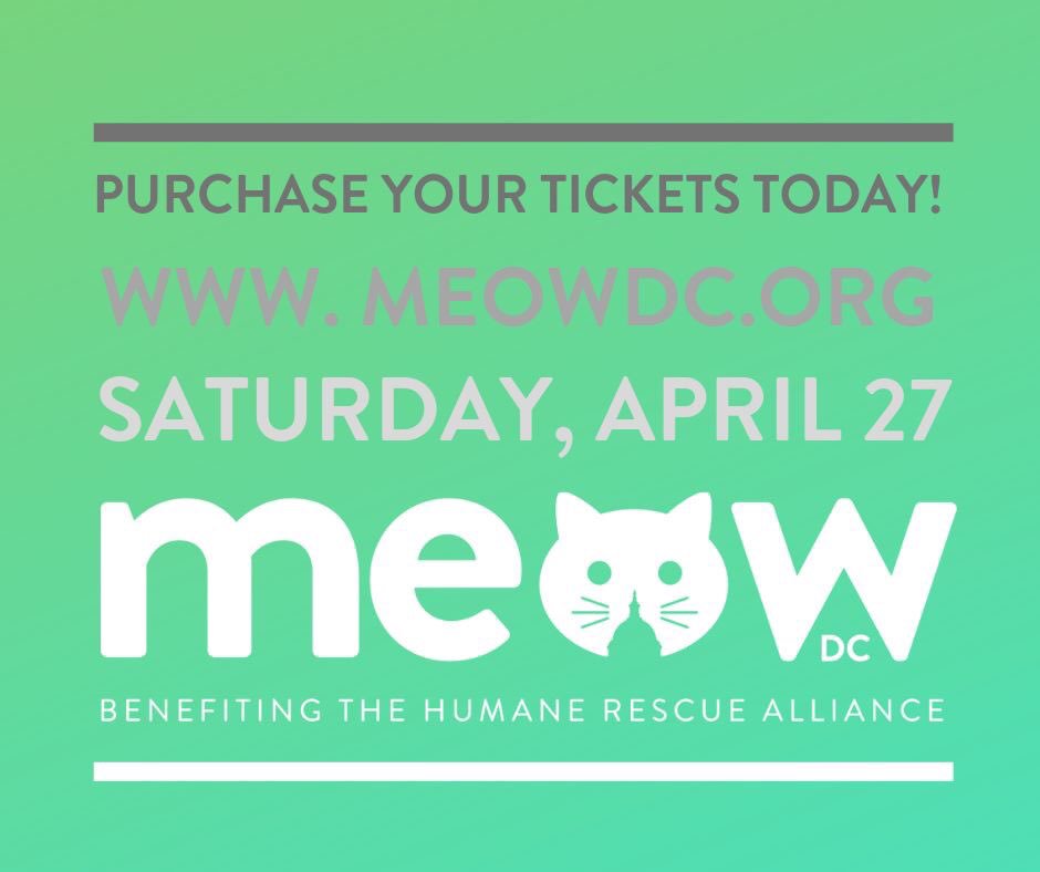 MeatMe will be exhibiting on April 27th at Meow DC at Dock 5, Union Market in Washington DC. The event benefiting the <a href="/humanerescue/">Humane Rescue</a> Alliance brings together cat related items for purchase, cats for adoption, demonstrations and more! #meowdc #dcrescue #unionmarketdc #dock5
