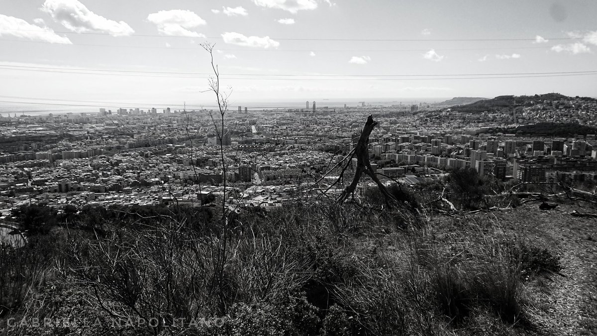 gabrivesuvio's tweet photo. #thetreeman Barcelona 2019
https://t.co/50jhjcYbGu https://t.co/LIhtSI4ODq