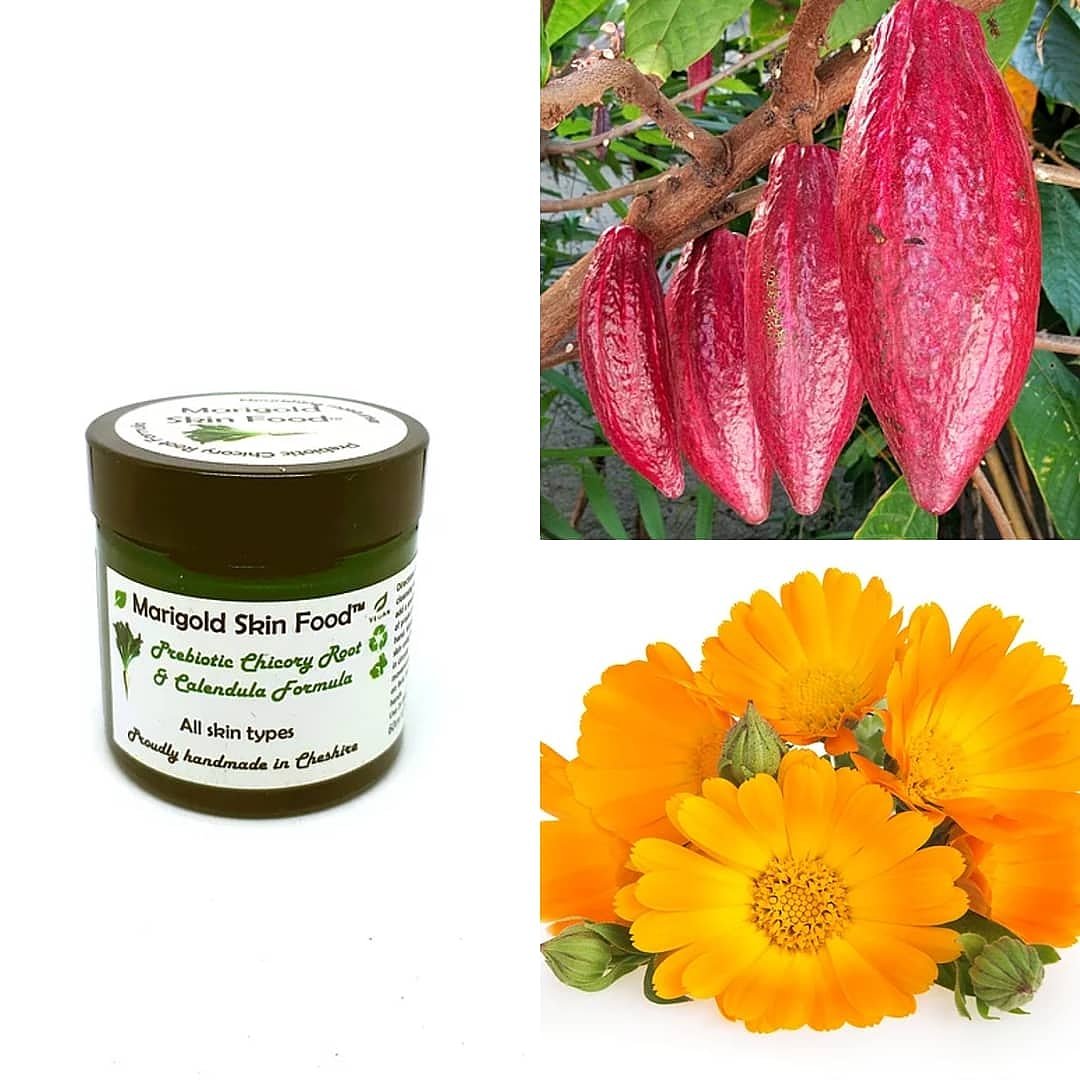 Marigold Skin Food 🍂- Our fabulous skin food formula but without the essential oils and active ingredients. Perfect for those with skin sensitivities and problems such as eczema, psoriasis and rosacea. #vegan #organic #bioavailable #ethical #AntiAging #skincare <a href="/altrinchammkt/">Altrincham Market</a>
