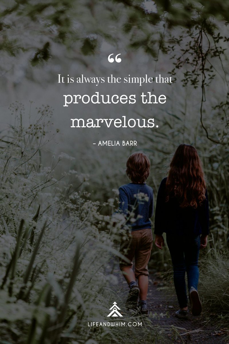 Life and Whim tweet media