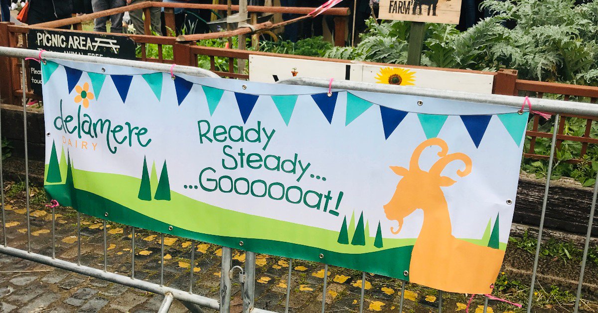 DelamereDairy's tweet photo. The excitement is mounting! A brilliant day so far @TheGoatRace We are proud sponsors of Hugo, running for Cambridge. We can hardly wait! Come on Hugo!!
#delameredairy #goat #cambridge https://t.co/euhYJ2Eqcm