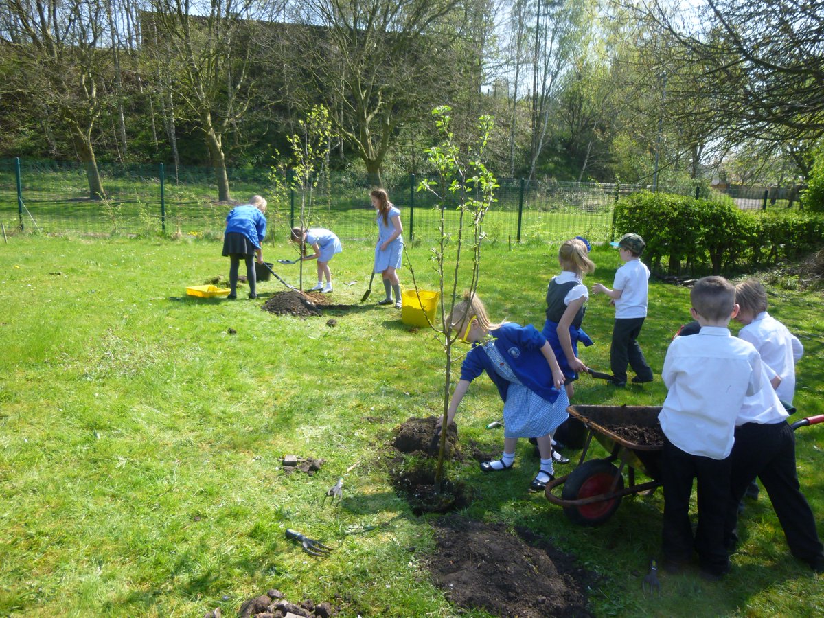 bobbennabout's tweet photo. @StNathaniels school orchard coming into blossom right now !  Planted in 2014 will we have plums , pears ,  cooking apples &amp; damsons this year ? https://t.co/Z2K1c5g4Dp