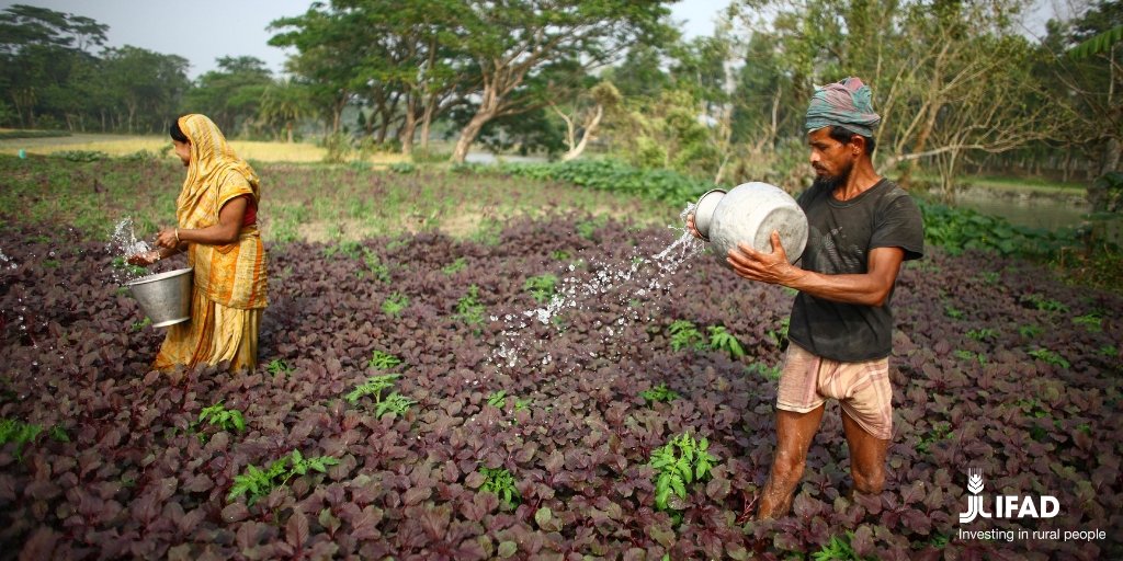 IFAD's tweet photo. #Agriculture is the sector that will be most affected by #climatechange. 

#investinruralpeople https://t.co/CbONxMLVfT