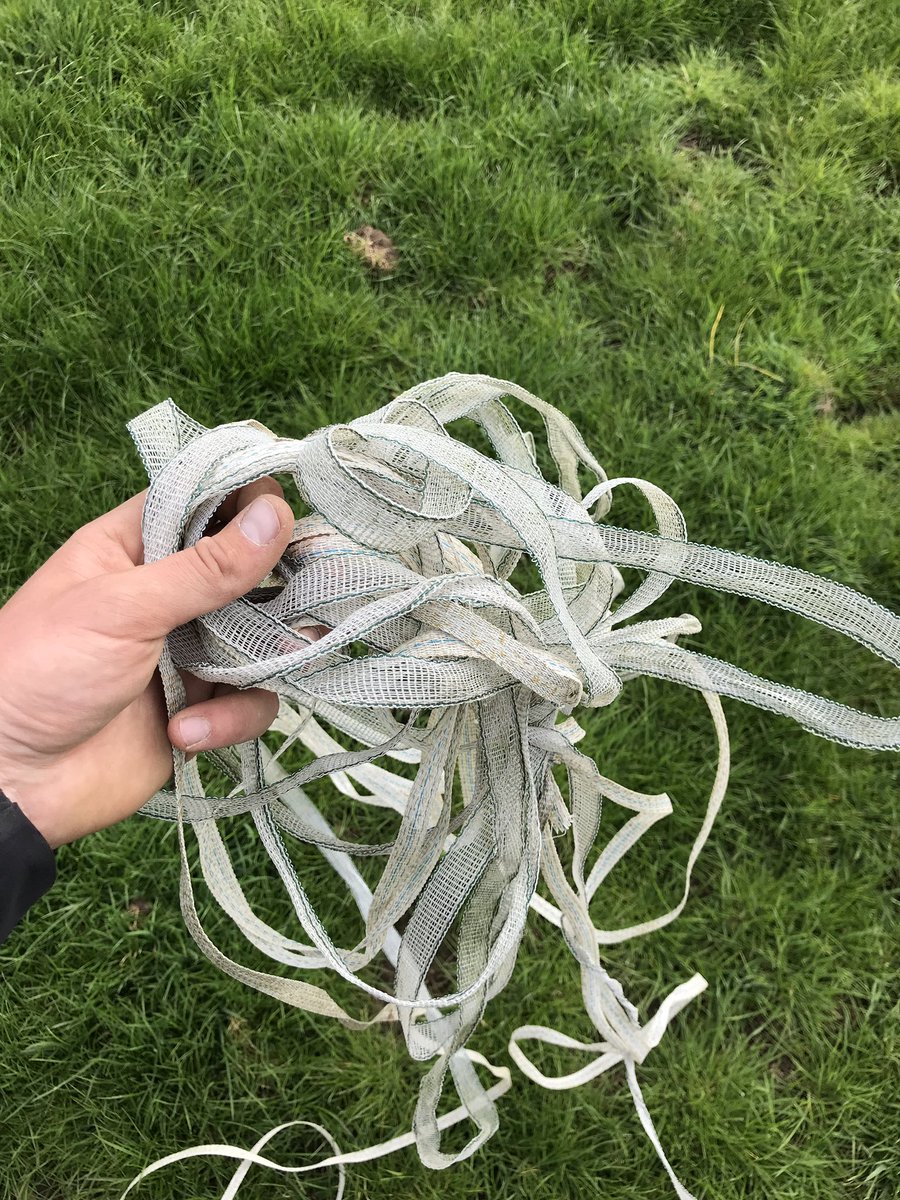 I was sure I put this away neatly over the winter!! 🙈