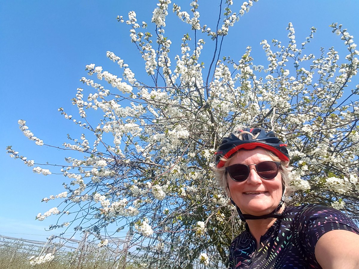 rositacusters's tweet photo. Fietsen in de #Haspengouw, de grootste fruitstreek van BelgiΓ«. #bloessem #genieten https://t.co/doAXzdr6Bn