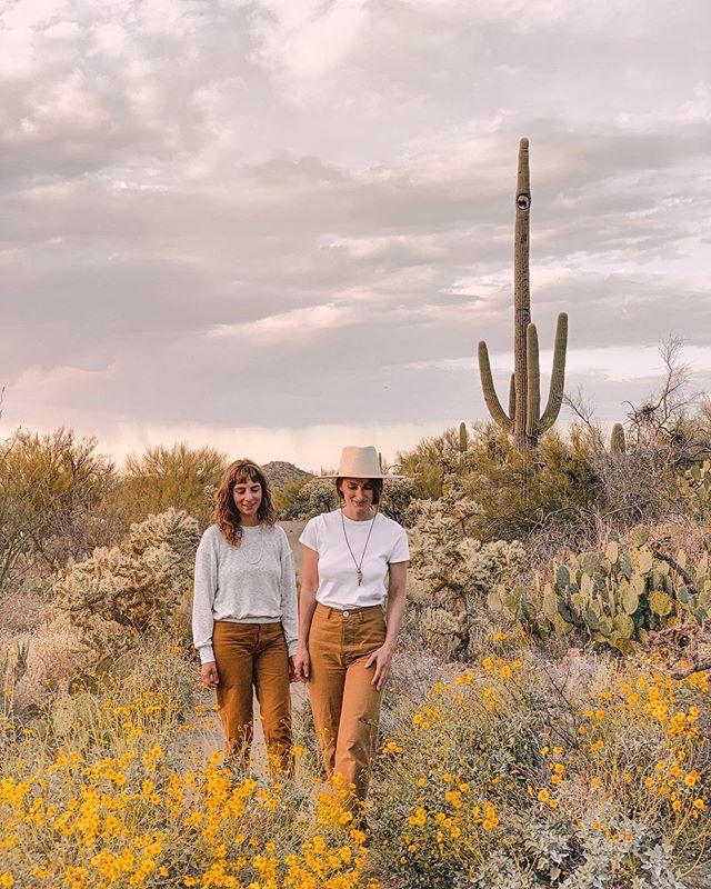 Sara Combs tweet media