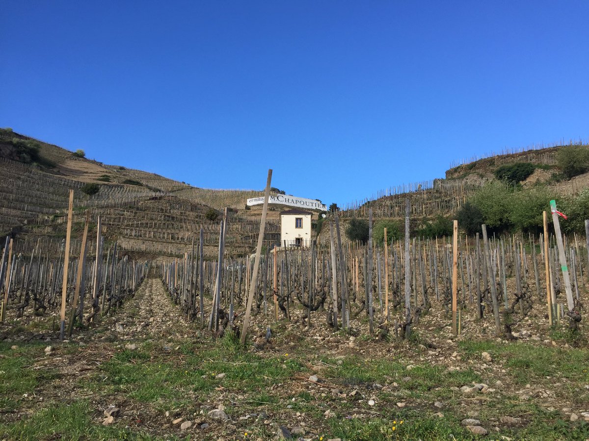 Objectif_Vin's tweet photo. Fin de la balade un verre de #Viognier à la main. Cette nuit nous veillerons sur les vignes depuis La Tour du Pavillon sur la colline de l’Ermitage @M_Chapoutier #ObjectifVin #France #vin https://t.co/7yEZVrpXBE