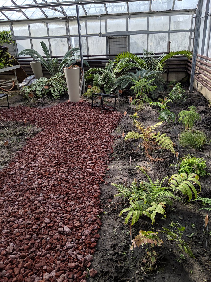 PurdueCPB's tweet photo. Scott McAdam's lab is showing off the Lilly greenhouse collection and teaching about the evolution of land plants for @LifeAtPurdue. #SpringFest. They have welwitschia! Site 12. https://t.co/EMyx5u8zny