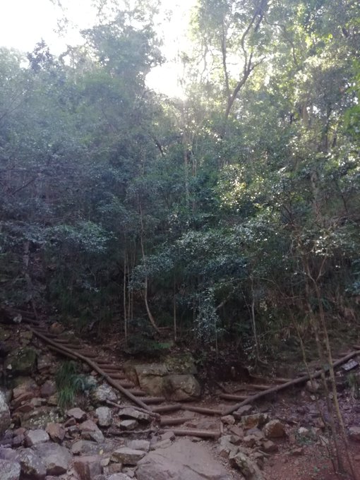 Had a lovely hike at kirstenboch my fav place on earth bump enjoyed the nature https://t.co/kiBv63ou